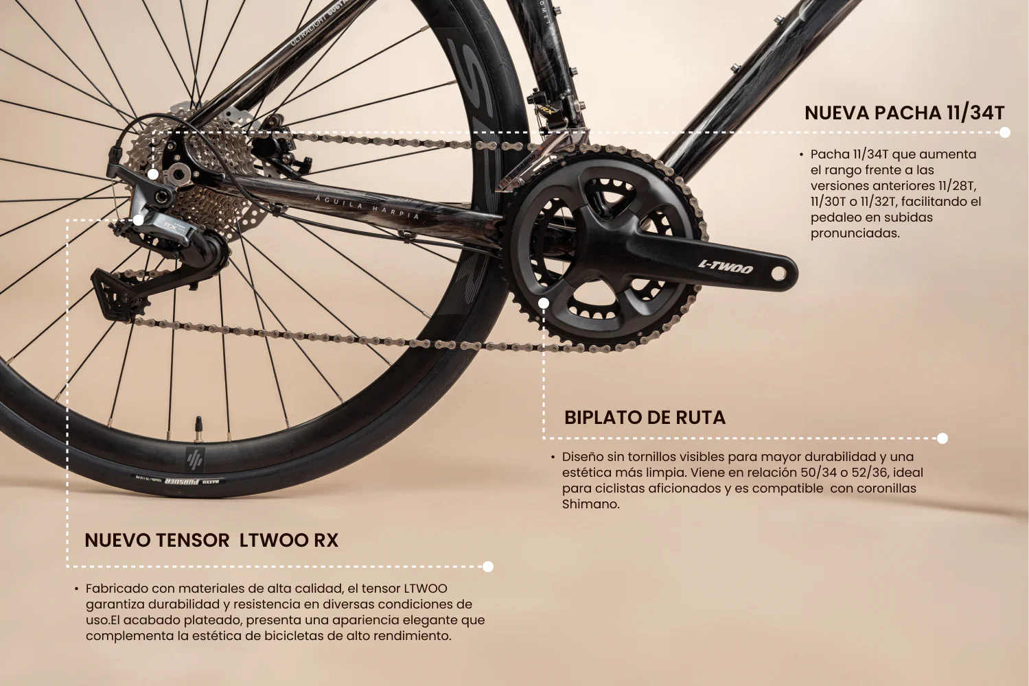 Bicicleta de ruta FREEDOM en aluminio con tenedor en carbono y LTWOO RX de 2x12 vel. - Image 9