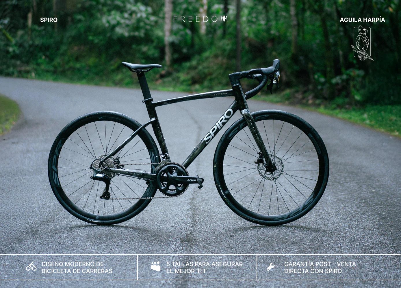 Bicicleta de ruta FREEDOM en aluminio con tenedor en carbono y Shimano 105 de 2x12 vel. - Image 15